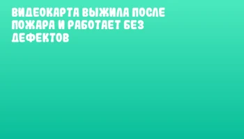 Видеокарта выжила после пожара и работает без дефектов Видеокарта выжила после пожара и работает без дефектов