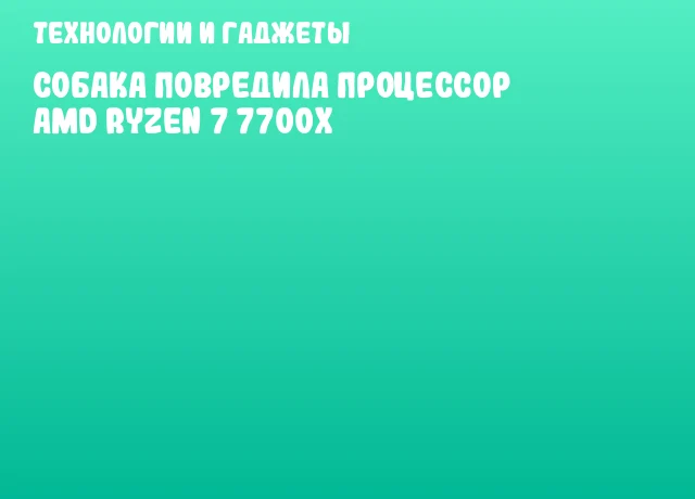Собака повредила процессор AMD Ryzen 7 7700X